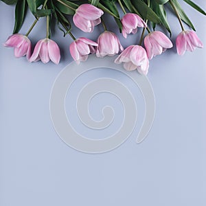 Pink tulips flowers on blue background. Waiting for spring. Happy Easter card. Flat lay, top view.