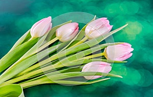 Pink tulips flowers, genus Tulipa, family Liliaceae with heart shape gift box on green bokeh background, close up