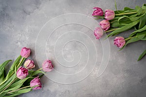 Pink tulips flowers on gray stone background. Waiting for spring. Happy Easter card. Flat lay.