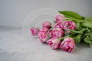 Pink tulips flowers on gray stone background. Waiting for spring. Happy Easter card. Flat lay.