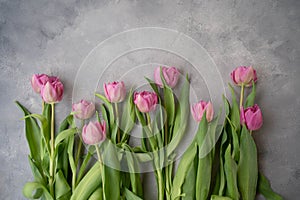 Pink tulips flowers on gray stone background. Waiting for spring. Happy Easter card. Flat lay.