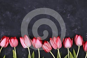 Pink Tulips Flowers on rustic black background