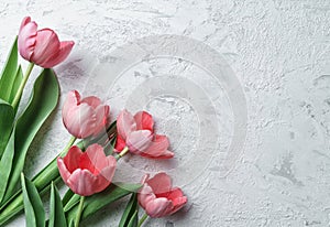 Pink tulips flowers on white background. Waiting for spring. Happy Easter card. Flat lay, top view