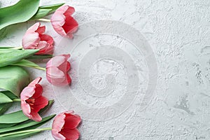 Pink tulips flowers on white stone background. Card for Mothers day, 8 March, Happy Easter. Waiting for spring. Greeting card