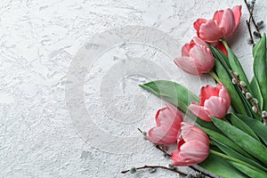 Pink tulips flowers on white stone background. Card for Mothers day, 8 March, Happy Easter. Waiting for spring. Greeting card.