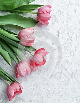 Pink tulips flowers on white stone background. Card for Mothers day, 8 March, Happy Easter. Waiting for spring. Greeting card.
