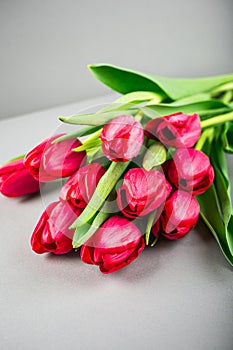Pink tulips over gray background
