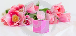 Pink tulips and perfume bottle on white background banner