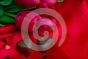 Pink tulips on red background. and chocolate heart shaped