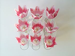 Pink tulips in vase