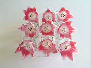 Pink tulips in vases