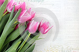 Pink tulips on vintage paper background