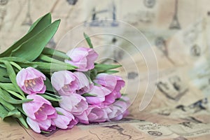 Pink tulips on vintage paper, newspaper. Spring flowers, abstract romantic floral background with copy space