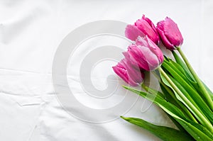 Pink tulips on white bed honeymoon