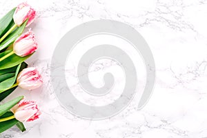 Pink tulips on white marble background. Spring and celebration concept. Copy space