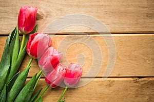 Pink tulips on wooden background. Flat lay, top view, copy space.