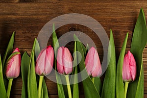 Pink tulips on a wooden background. Mother`s Day. Spring flowers