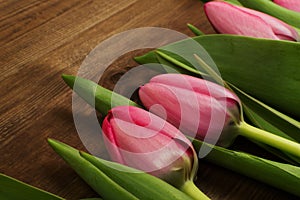 Pink tulips on a wooden background. Mother`s Day. Spring flowers