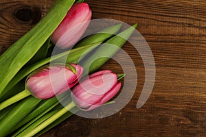 Pink tulips on a wooden background. Mother`s Day. Spring flowers