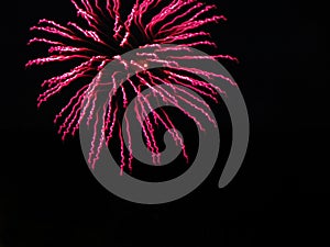 Pink twirling streams of fireworks light up black sky