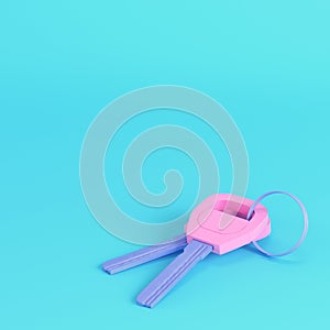 Pink two keys on kering on bright blue background in pastel colors