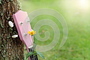 Pink ukulele on green grass sunset background.