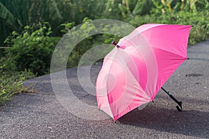 Pink umbrella on concrete floor and green grass field in the park