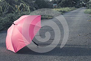 Pink umbrella on concrete floor and green grass field in the park