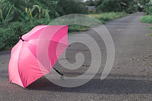 Pink umbrella on concrete floor and green grass field in the park