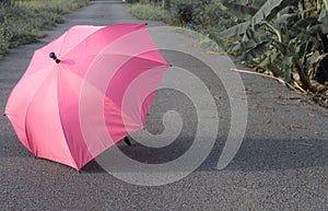 Pink umbrella on concrete floor and green grass field in the park.