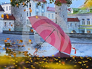 Pink umbrella under rain in park Autumn yellow leaves fall in Tallinn Old town medieval city  tower wall travel to Estonia Autumn