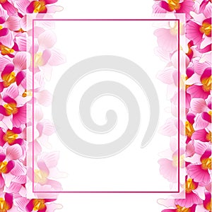 Pink Vanda Miss Joaquim Orchid Banner Card. Singapore National Flower. Vector Illustration