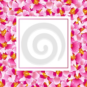 Pink Vanda Miss Joaquim Orchid Banner Card. Singapore National Flower. Vector Illustration