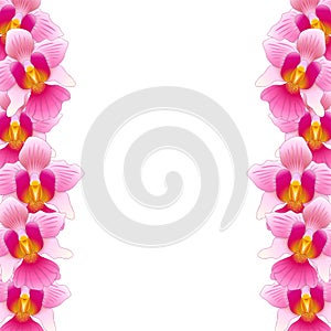 Pink Vanda Miss Joaquim Orchid Border isolated on White Background. Vector Illustration. Singapore National Flower