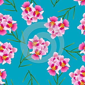 Pink Vanda Miss Joaquim Orchid on Indigo Blue Background. Singapore National Flower. Vector Illustration