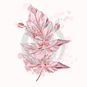 Pink vector leaf with buds and ink spots watercolor style