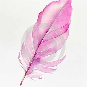 Pink violet feather of fairy tale bird in watercolor style