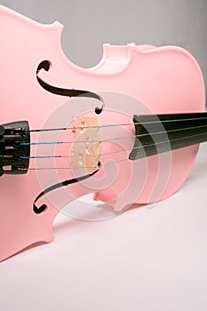 The Pink Violin photo
