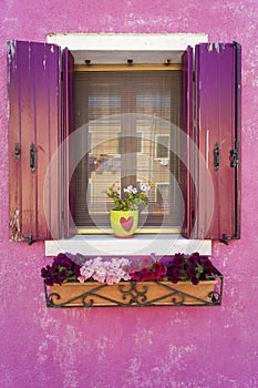 Pink wall and shutters on window, Burano, Italy