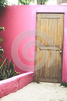 Pink wall with wood door photo