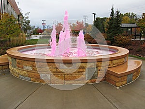 Pink Water Fountain