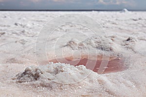 Pink water puddle on salt lake, Sivash sea spa