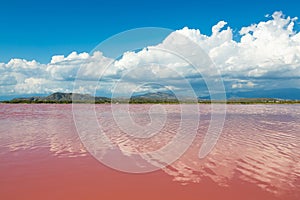 Pink water salt lake in Dominican Republic