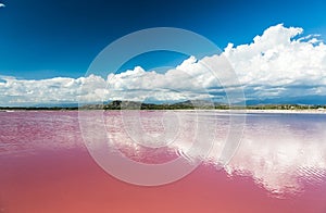 Pink water salt lake in Dominican Republic