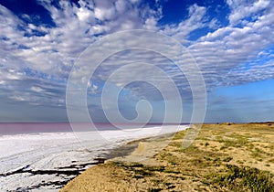 Pink water of the Sivash Bay, Kherson region, Ukraine