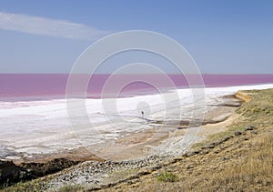 Pink water of the Sivash Bay, Kherson region, Ukraine