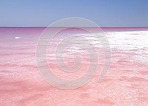 Pink water of the Sivash bay, Ukraine