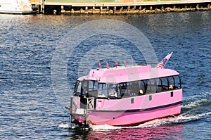 Pink water taxi, South Florida