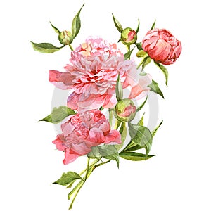 Pink watercolor peonies vintage greeting card