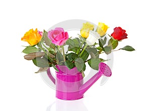 Pink watering can with colorful roses